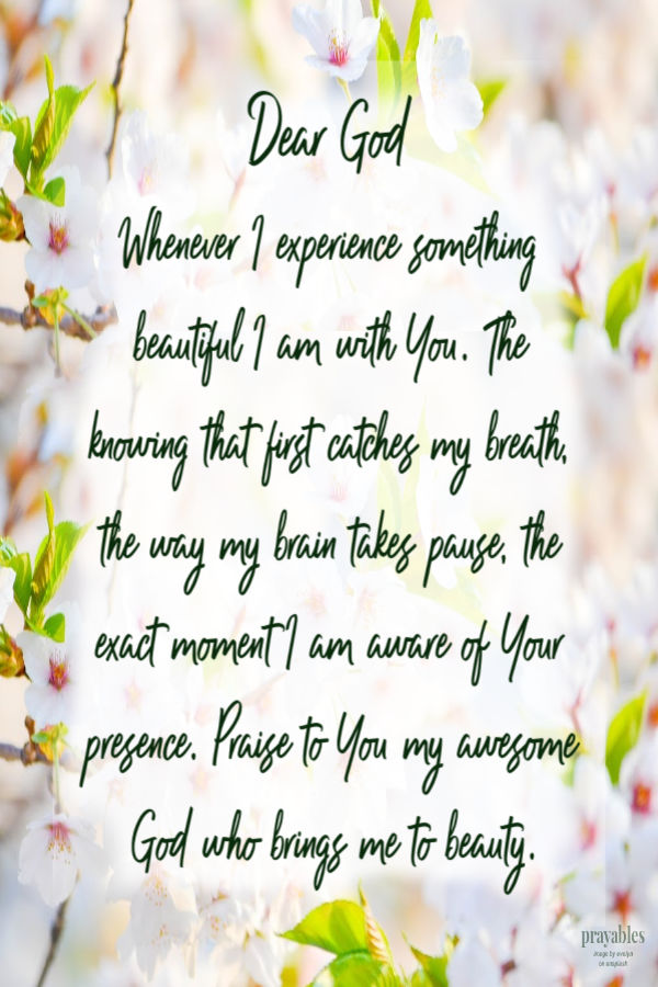 Dear God, whenever I experience something beautiful I am with You. The knowing that first catches my breath, the way my brain takes pause, the exact moment I am aware of Your
presence. Praise to You my awesome God who brings me to beauty.