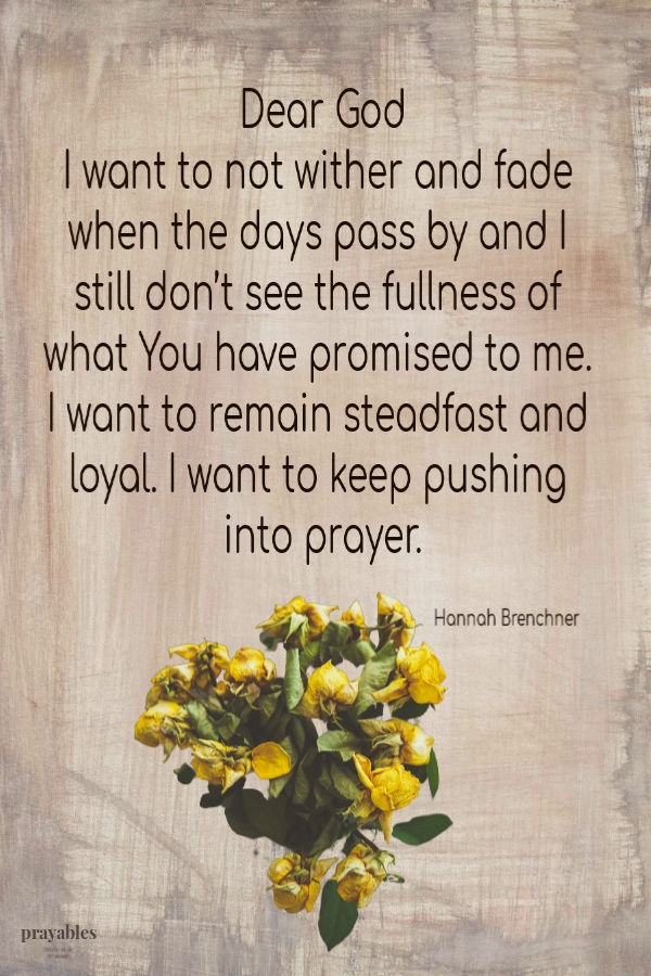 Dear God I want to not wither and fade when the days pass by and I still don’t see the fullness of what You have promised to me. I want to remain steadfast and loyal. I want
to keep pushing into prayer. Hannah Brenchner