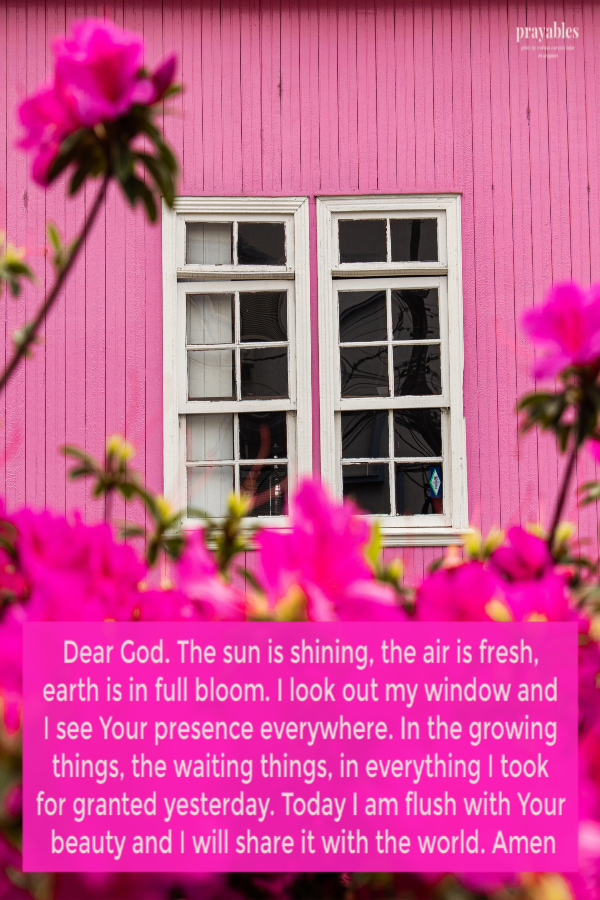 Dear God. The sun is shining, the air is fresh, earth is in full bloom. I look out my window and I see Your presence everywhere. In
the growing things, the waiting things, in everything I took for granted yesterday. Today I am flush with Your beauty and I will share it with the world. 