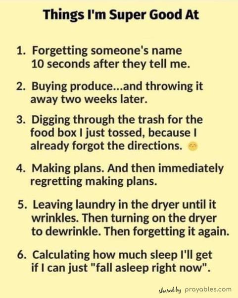 Things I'm Super Good At 1. Forgetting someone's name 10 seconds after they tell me. 2. Buying produce...and throwing it away two weeks later. 3. Digging
through the trash for the food box I just tossed, because I already forgot the directions. 4. Making plans. And then immediately regretting making plans. 5. Leaving laundry in the dryer until it wrinkles. Then turning on the dryer to de-wrinkle. Then forgetting it again. 6. Calculating how much sleep I'll get if I can just "fall asleep right now".