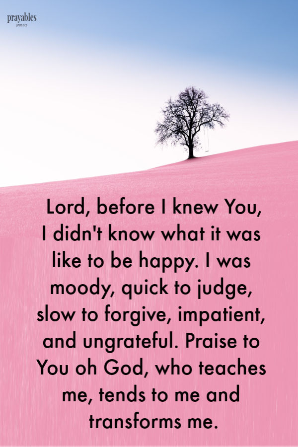 Lord, before I knew You, I didn't know what it was like to be happy. I was moody, quick to judge, slow to forgive, impatient, and ungrateful. Praise to You oh God, who teaches
me, tends to me and transforms me.