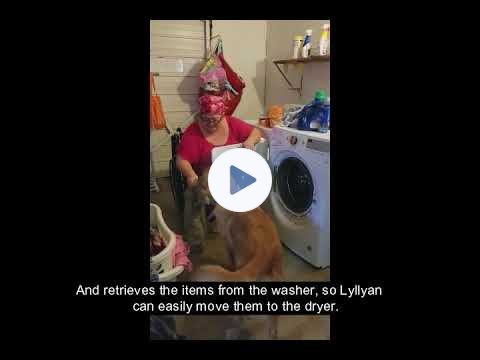 Meet Lyllyan and Service Dog Journey