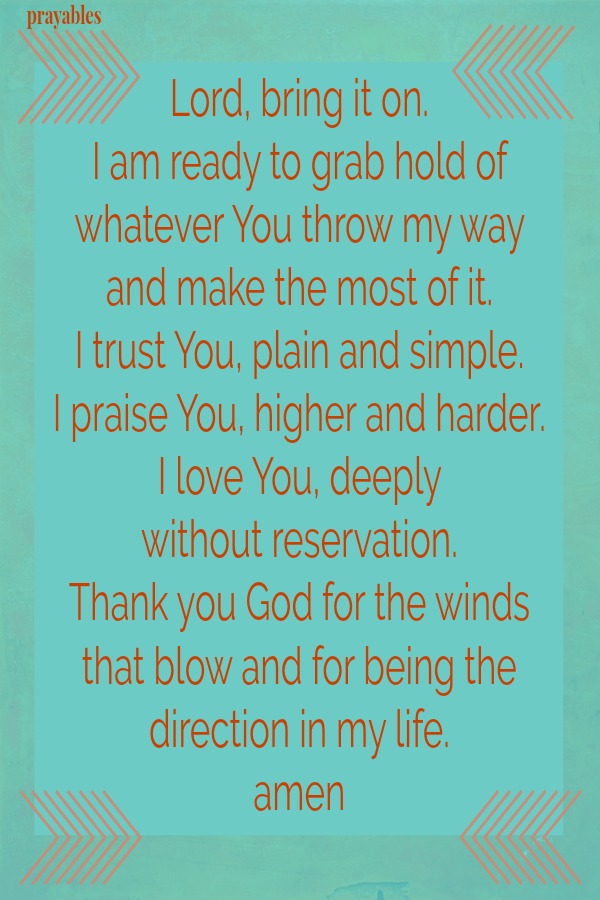 Lord, bring it on.  I am ready to grab hold of whatever You throw my way  and make the most of it.  I trust You, plain and simple.  I praise You, higher and harder.  I love You, deeply   without reservation.  Thank you God for the
winds that blow and for being the direction in my life. amen