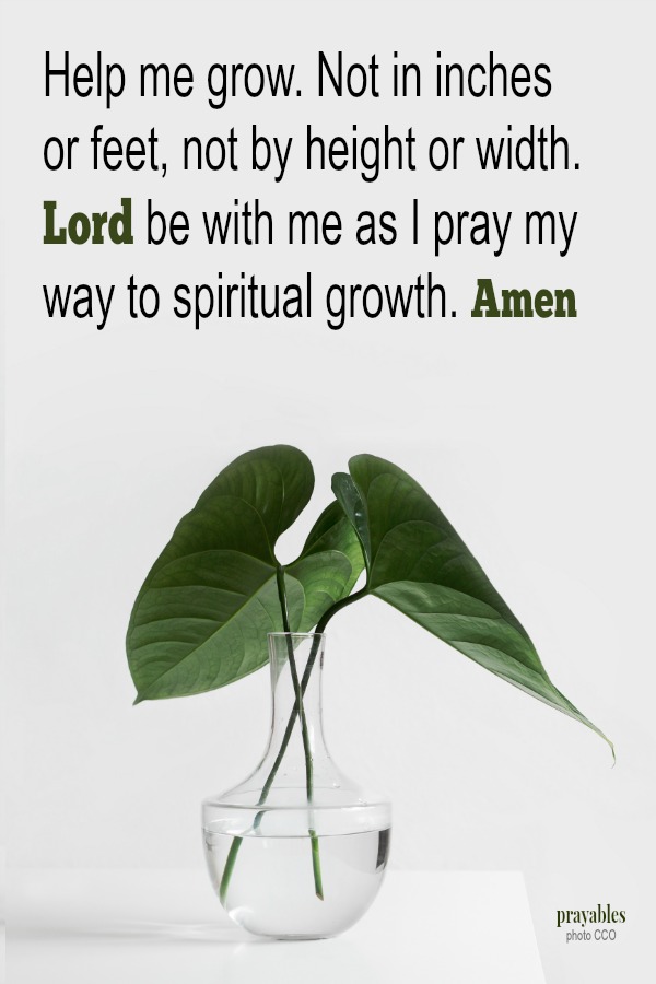 Help me grow. Not in inches or feet, not by height or width. Lord be with me as I pray my way to spiritual growth. Amen