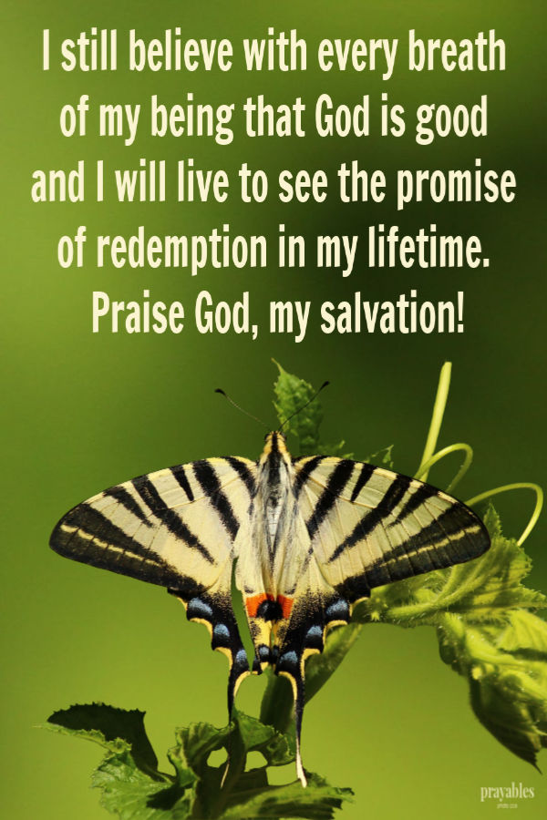 I still believe with every breath of my being that God is good and I will live to see the promise of redemption in my lifetime. Praise God, my salvation.