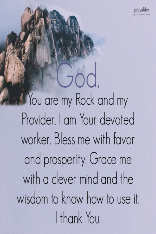 God, You are my Rock and my Provider. I am Your devoted worker. Bless me with favor and prosperity. Grace me with a clever mind and
the wisdom to know how to use it. I thank You.