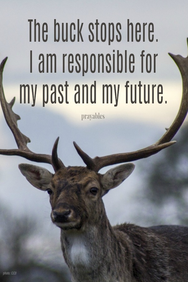 The buck stops here. I am responsible for  my past and my future.