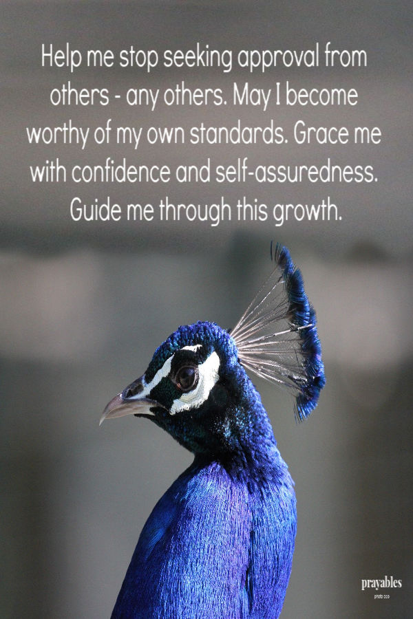 Help me stop seeking approval from others - any others. May I become worthy of my own standards. Grace me with confidence and self-assuredness. Guide me through this growth.