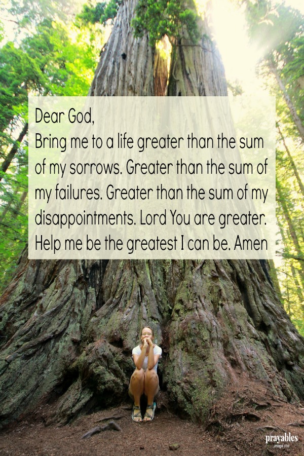 Dear God, Bring me to a life greater than the sum of my sorrows. Greater than the sum of my failures. Greater than the sum of my disappointments. Lord You are greater. Help me be the greatest I can be. Amen