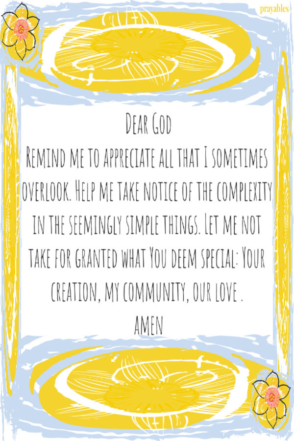 Dear God Remind me to appreciate all that I sometimes overlook. Help me take notice of the complexity in the seemingly simple things. Let me not take for granted
what You deem special: Your creation, my community, our love .  amen