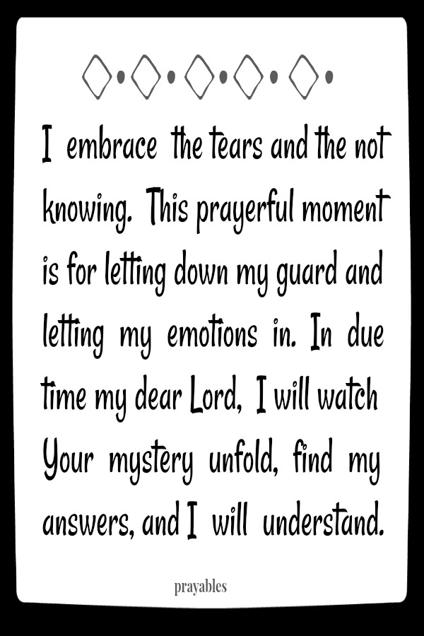 I  embrace  the tears and the not knowing.  This prayerful moment is for letting down my guard and letting  my  emotions  in.  In  due time my dear Lord,  I will watch  Your  mystery  unfold,  find  my answers, and I  will 
understand.