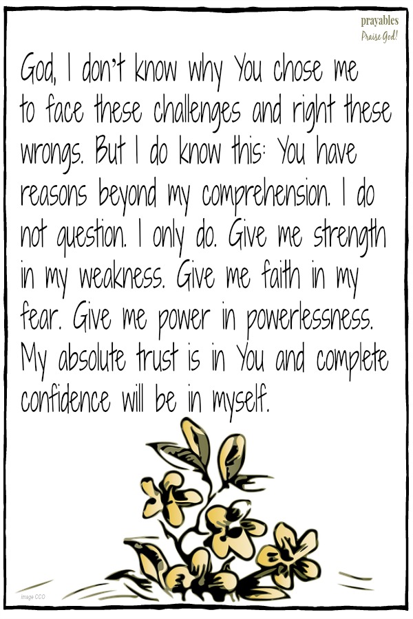 God, I don’t know why You chose me  to face these challenges and right these wrongs. But I do know this: You have reasons beyond my comprehension. I do not question. I only do. Give me strength in my weakness. Give me faith in my fear.
Give me power in powerlessness. My absolute trust is in You and complete confidence will be in myself.