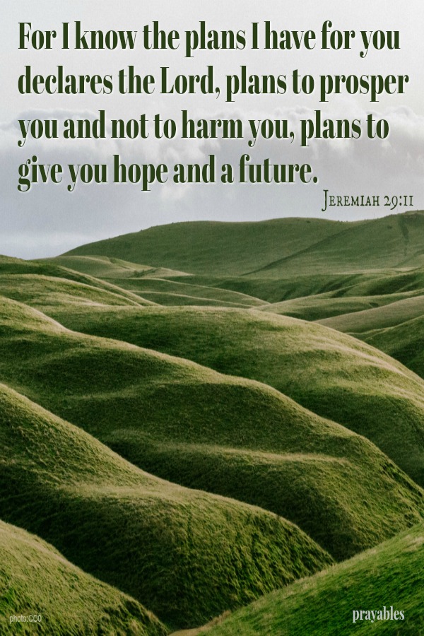  i know the plans I have for you