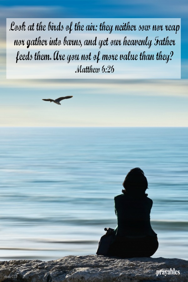 Are you not of more value than them?