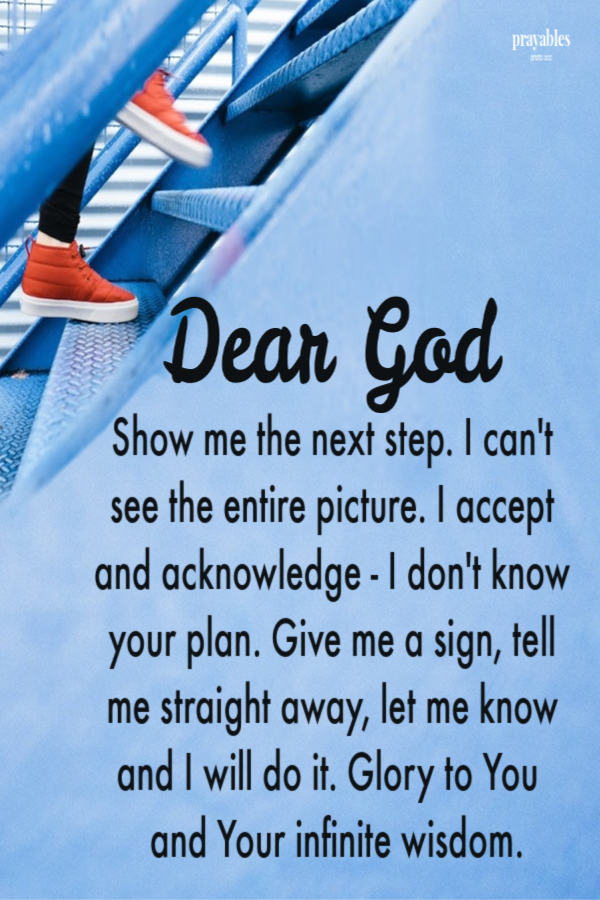 Dear God, Show me the next step. I can't see the entire picture. I accept and acknowledge - I don't know your plan. Give me a sign,
tell me straight away, let me know and I will do it. Glory to You  and Your infinite wisdom.