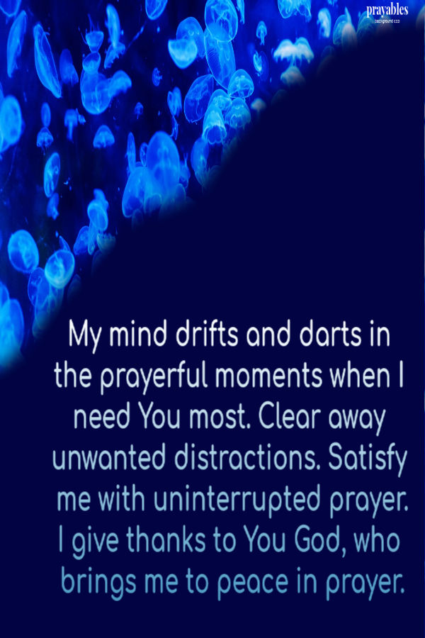 My mind drifts and darts in the prayerful moments when I need You most. Clear away unwanted distractions. Satisfy me with uninterrupted prayer. I give thanks to You God, who
brings me to peace in prayer.