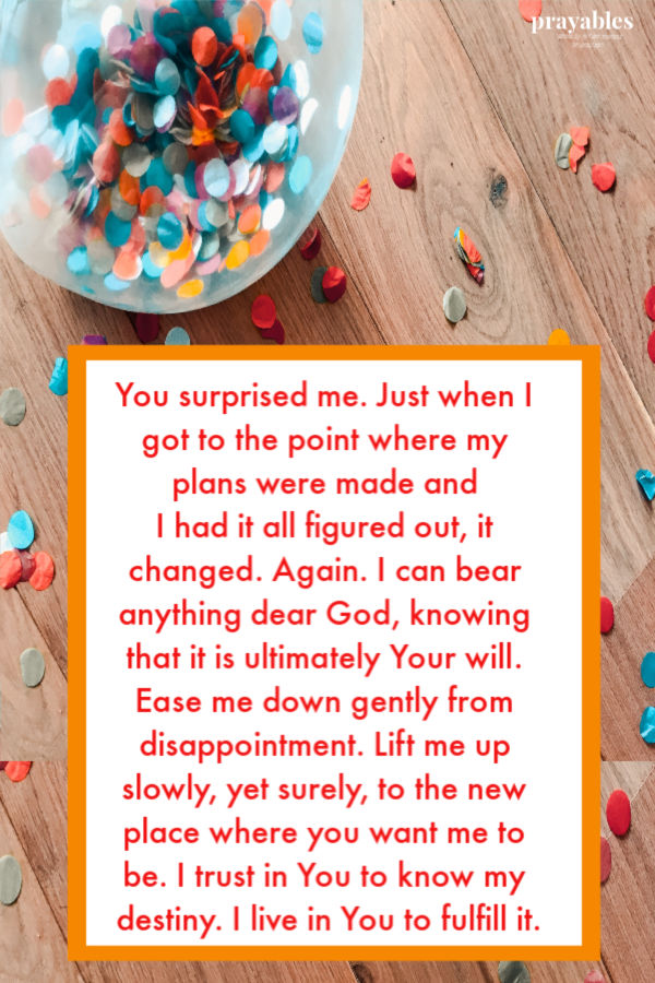 You surprised me. Just when I got to the point where my plans were made and I had it all figured out, it changed. Again. I can bear anything dear God, knowing that it is
ultimately Your will. Ease me down gently from disappointment. Lift me up slowly, yet surely, to the new place where you want me to be. I trust in You to know my destiny. I live in You to fulfill it.