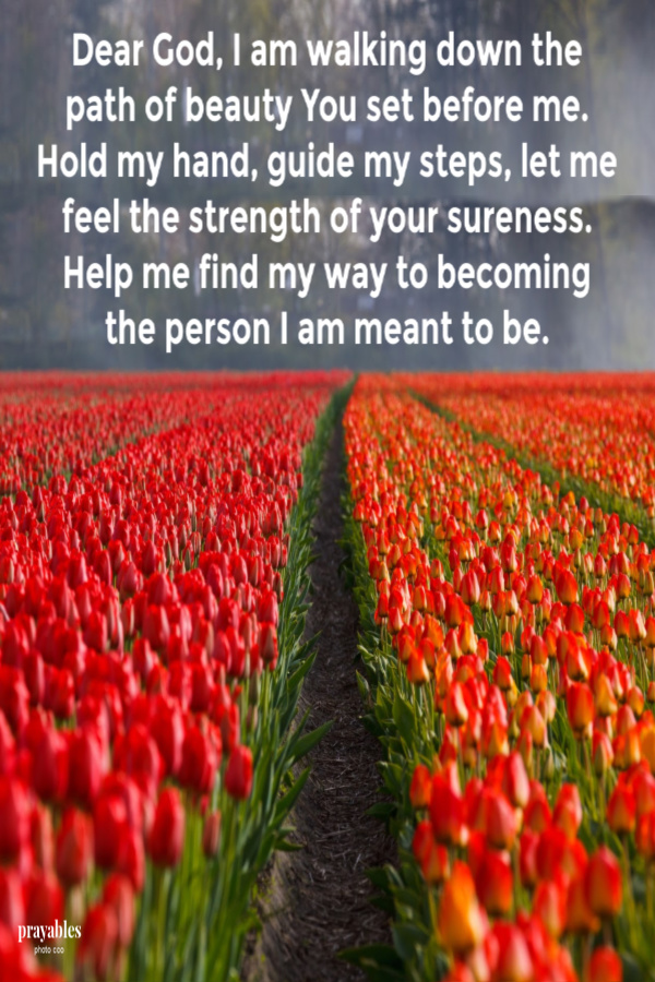 Dear God, I am walking down the path of beauty You set before me. Hold my hand, guide my steps, let me feel the strength of your sureness. Help me find my way to becoming the person I am meant to be. 