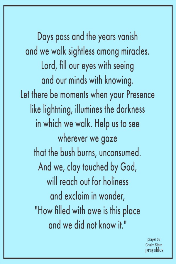 Days pass and the years vanish  and we walk sightless among miracles. ​​​​​​​Lord, fill our eyes with seeing  and our minds with knowing.   ​​​​​​​Let there be moments when your Presence  like lightning, illumines the darkness  in
which we walk. ​​​​​​​Help us to see wherever we gaze that the bush burns, unconsumed. ​​​​​​​ And we, clay touched by God,  will reach out for holiness  and exclaim in wonder,  "How filled with awe is this place  and we did not know it." Chaim Stern