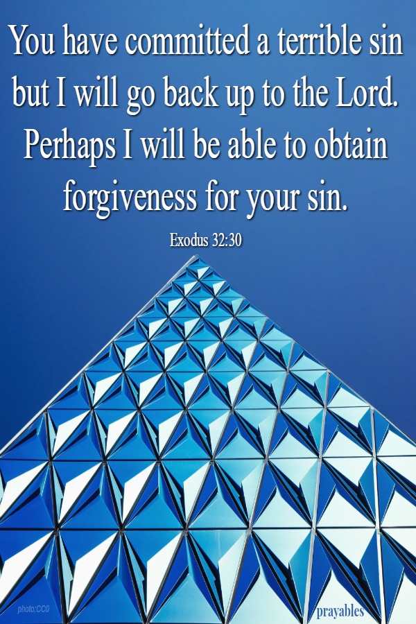 Perhaps I will be obtain forgiveness...