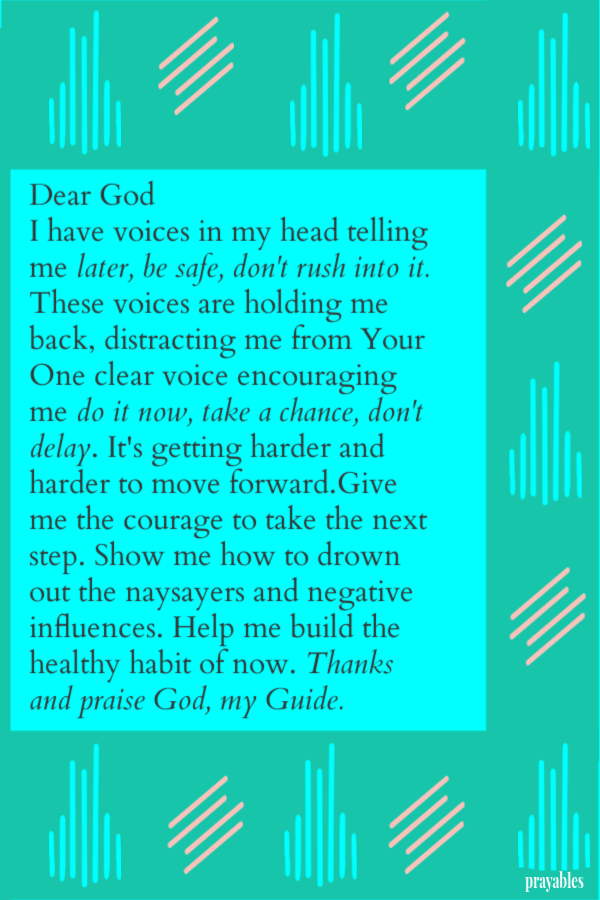 Dear God, I have voices in my head telling me, later, be safe, don't rush into it. These voices are holding me back, distracting me
from Your One clear voice encouraging me to, do it now, take a chance, don't delay. It's getting harder and harder to move forward.Give me the courage to take the next step. Show me how to drown out the naysayers and negative influences. Help me build the healthy habit of now. Thanks and praise God, my Guide.