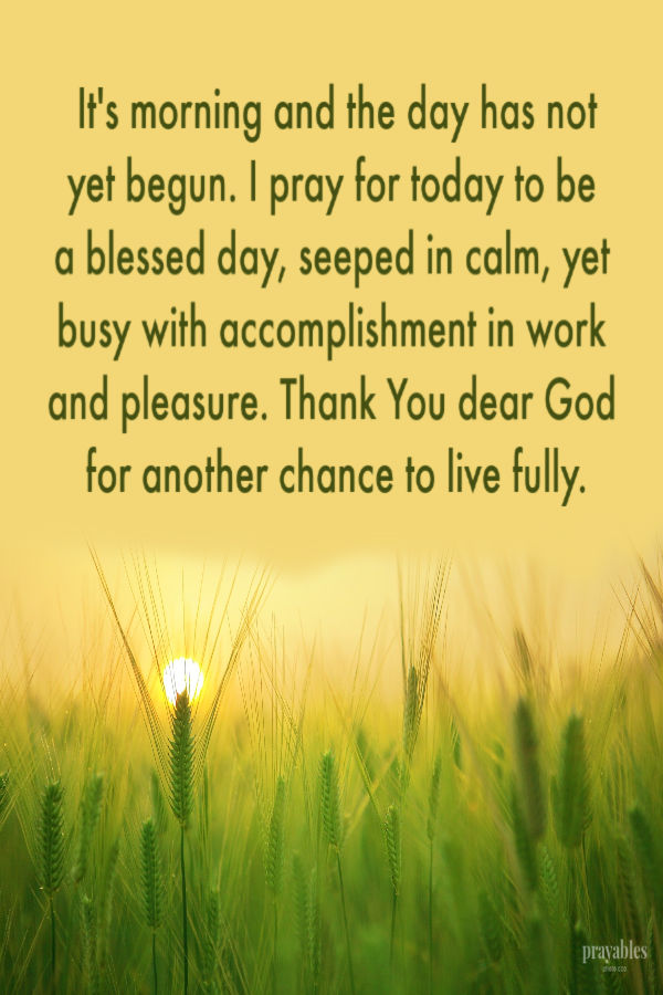 It's morning and the day has not yet begun. I pray for today to be a blessed day, seeped in calm, yet busy with accomplishment in work and pleasure. Thank You dear God for
another chance to live fully.