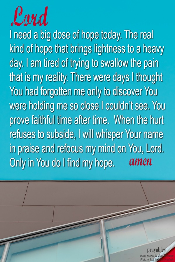 Lord I need a big dose of hope today. The real kind of hope that brings lightness to a heavy day. I am tired of trying to swallow the pain that is my reality. There were days I thought You had forgotten me only to discover You were
holding me so close I couldn’t see. You prove faithful time after time.  When the hurt refuses to subside, I will whisper Your name in praise and refocus my mind on You, Lord. Only in You do I find my hope. amen