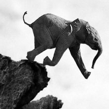 daily blessings elephant