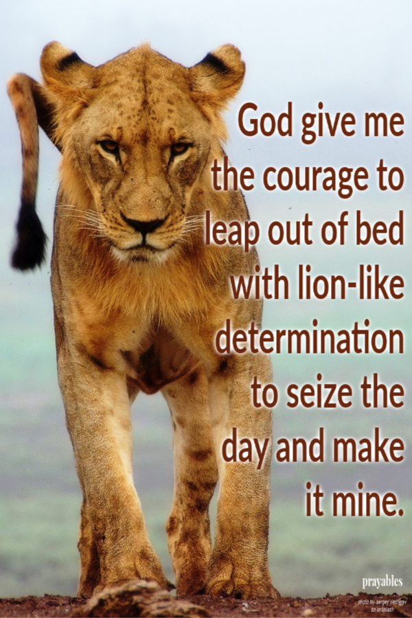 God give me the courage to leap out of bed with lion-like determination to seize the day and make it mine.