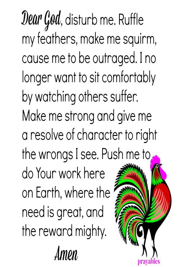 Dear God, disturb me. Ruffle  my feathers, make me squirm, cause me to be outraged. I no longer want to sit comfortably by watching others suffer. Make me strong and give me a resolve of character to right the wrongs I see. Push me
to do Your work here  on Earth, where the  need is great, and the reward mighty.  Amen