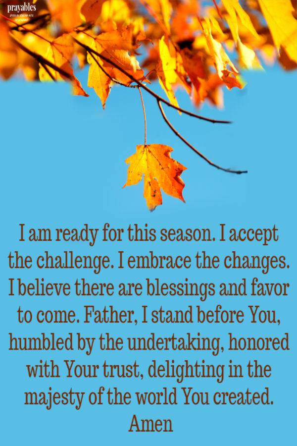 I am ready for this season. I accept the challenge. I embrace the changes. I believe there are blessings and favor to come. Father,
I stand before You, humbled by the undertaking, honored with Your trust, delighting in the majesty of the world You created. Amen