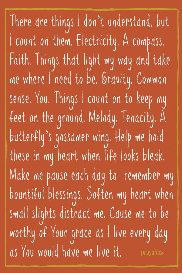 There are things I don’t understand, but I count on them. Electricity. A compass. Faith. Things that light my way and take me where I need to be. Gravity. Common sense. You. Things I count on to keep my feet on the ground. Melody.
Tenacity. A butterfly’s gossamer wing. Help me hold these in my heart when life looks bleak. Make me pause each day to  remember my bountiful blessings. Soften my heart when small slights distract me. Cause me to be worthy of Your grace as I live every day as You would have me live it.