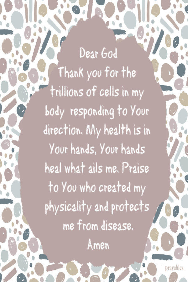 Dear God, Thank you for the trillions of cells in my body responding to Your direction. My health is in Your hands, Your hands heal what ails me. Praise to You who created my
physicality and protects me from disease. Amen