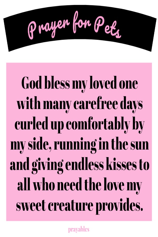 God bless my loved one with many carefree days curled up comfortably by my side, running in the sun and giving endless kisses to all who need the love my sweet creature provides.  