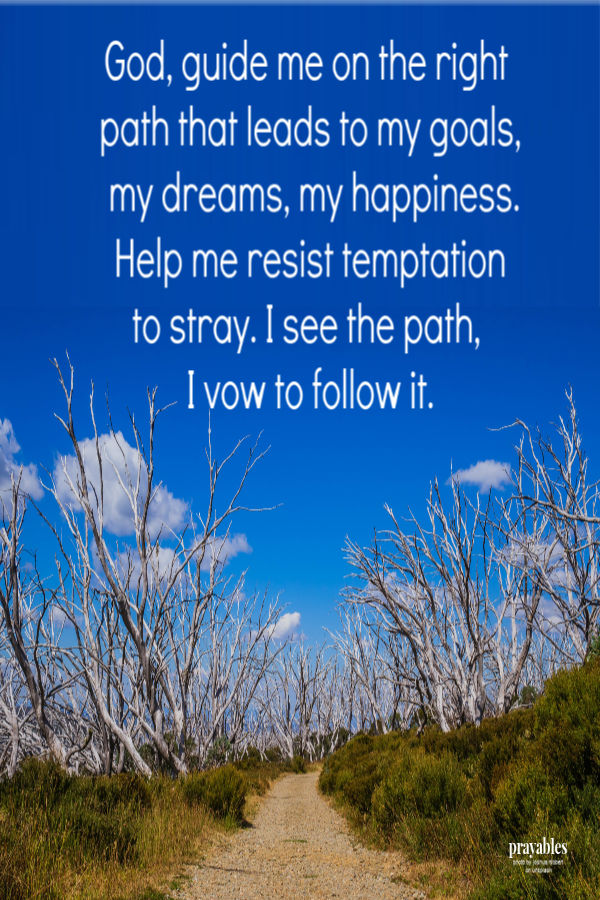 God, guide me on the right path that leads to my goals, my dreams, my happiness. Help me resist temptation to stray. I see the path, I vow to follow it.