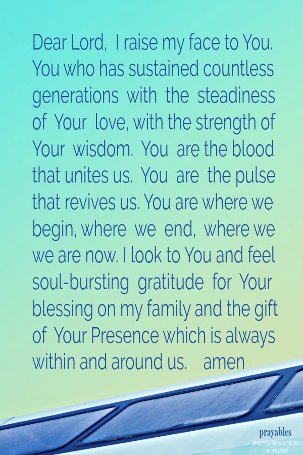 Dear Lord,  I raise my face to You. You who has sustained countless generations  with  the  steadiness  of  Your  love, with the strength of Your  wisdom.  You  are the blood  that unites us.  You  are  the pulse  that revives us.
You are where we begin, where  we  end,  where we we are now. I look to You and feel  soul-bursting  gratitude  for  Your blessing on my family and the gift of  Your Presence which is always within and around us. amen       