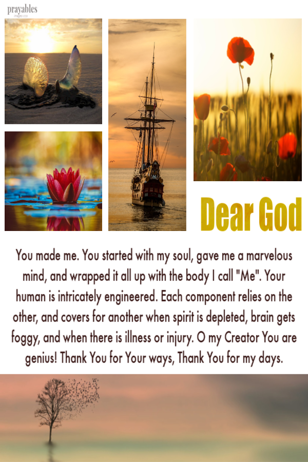 You made me. You started with my soul, gave me a marvelous mind, and wrapped it all up with the body I call "Me". Your
human is intricately engineered. Each component relies on the other, and covers for another when spirit is depleted, brain gets foggy, and when there is illness or injury. O my Creator You are genius! Thank You for Your ways, Thank You for my days.