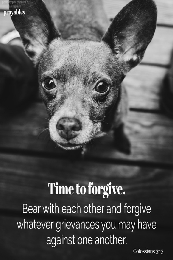 Colossians 3:13  Time to Forgive. Bear with each other and forgive whatever grievances you may have against one another.