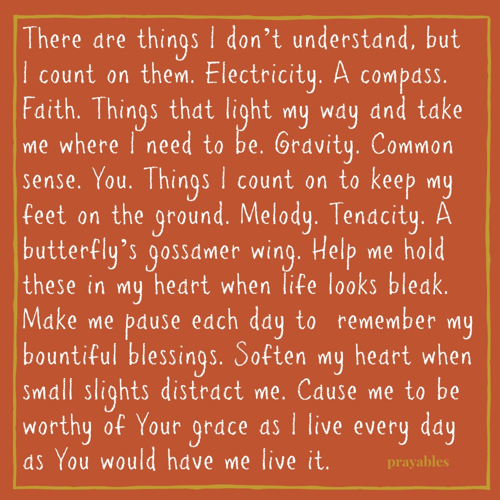 There are things I don’t understand, but I count on them. Electricity. A compass. Faith. Things that light my way and take me where I need to be. Gravity. Common sense. You. Things I count on to keep my feet on the ground. Melody.
Tenacity. A butterfly’s gossamer wing. Help me hold these in my heart when life looks bleak. Make me pause each day to remember my bountiful blessings. Soften my heart when small slights distract me. Cause me to be worthy of Your grace as I live every day as You would have me live it.