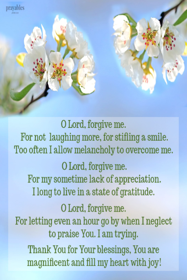 O Lord, forgive me.  For not  laughing more, for stifling a smile. Too often I allow melancholy to overcome me.   O Lord, forgive
me. For my sometime lack of appreciation. I long to live in a state of gratitude.   O Lord, forgive me.  For letting even an hour go by when I neglect  to praise You. I am trying.   Thank You for Your blessings, You are magnificent and fill my heart with joy!