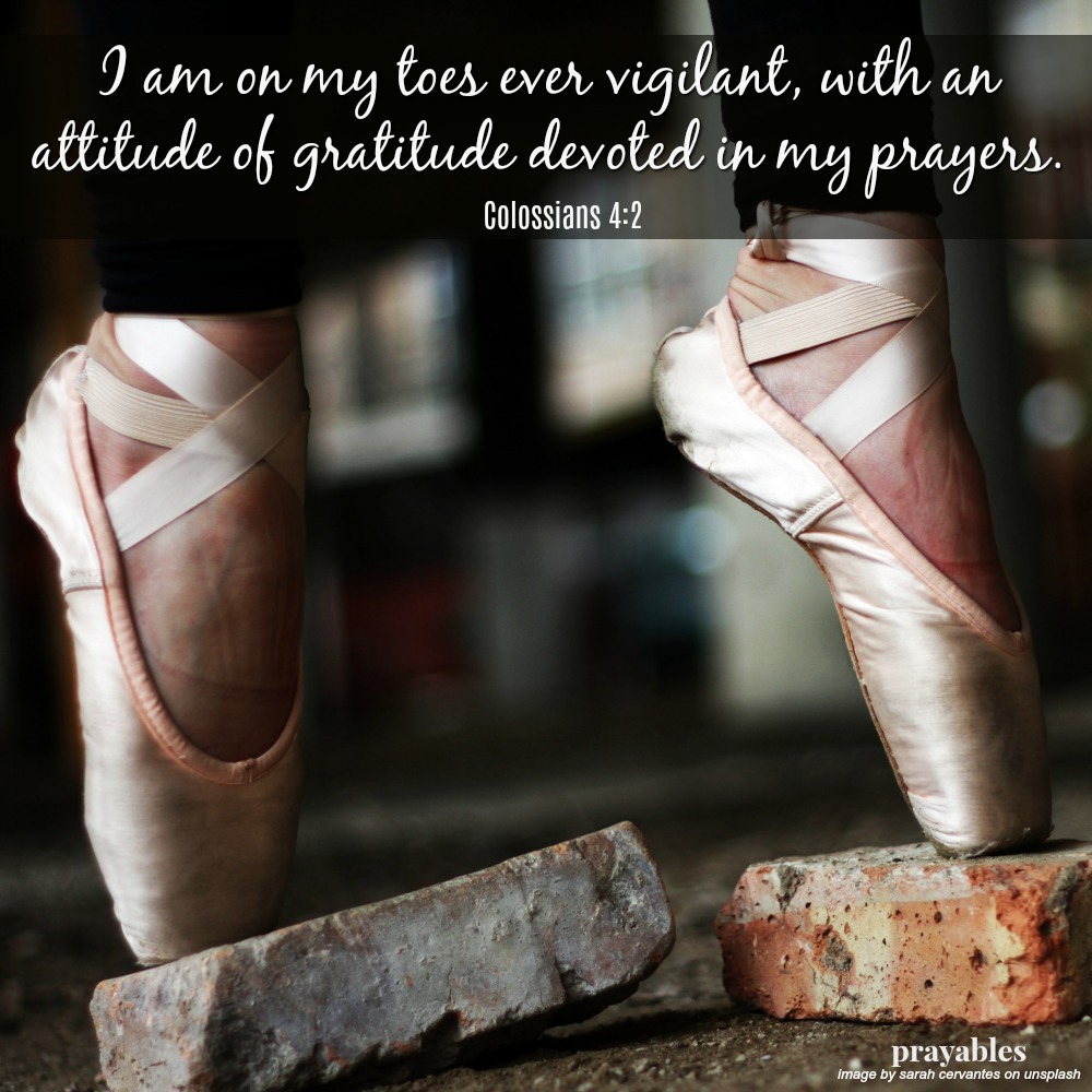 Colossians 4:2 I am on my toes ever vigilant, with an attitude of gratitude devoted in my prayers.