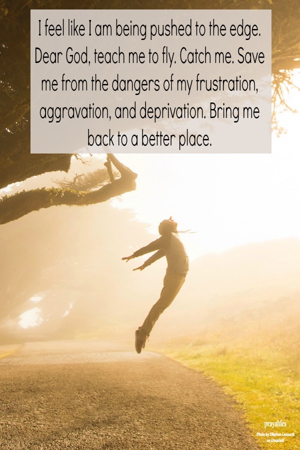 I feel like I am being pushed to the edge.  Dear God, teach me  to fly. Catch me. Save  me from the dangers  of my frustration, aggravation, and deprivation. Bring me back, to a better place.