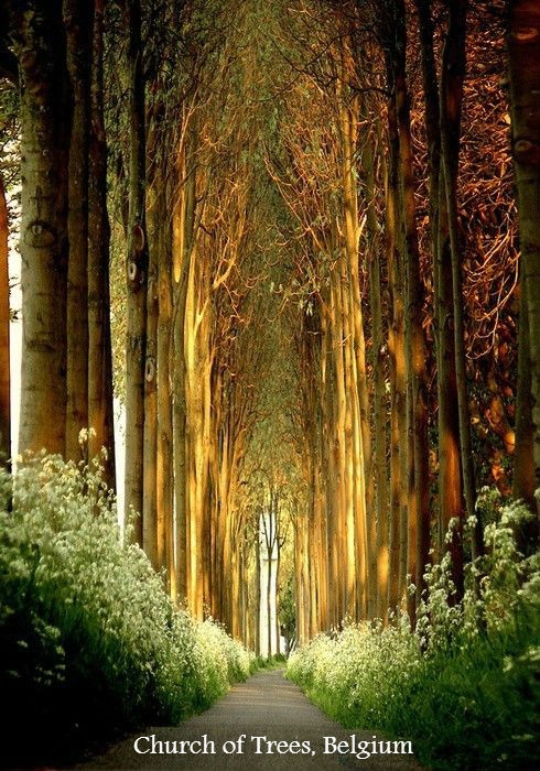 Beautiful Place of Worship