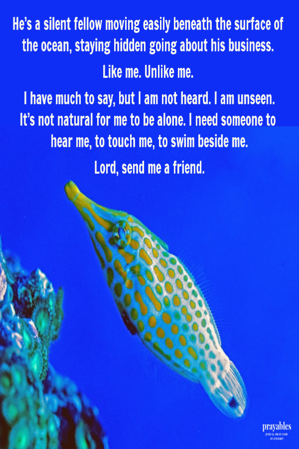 He’s a silent fellow moving easily beneath the surface of the ocean, staying hidden going about his business. Like me. Unlike me. I have much to say, but I am not heard. I am unseen. It’s not natural for me to be alone. I need someone to hear me, to touch
me, to swim beside me. Lord, send me a friend.