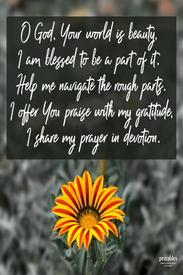 O God, Your world is beauty,  I am blessed to be a part of it. Help me navigate the rough parts. I offer You praise with my gratitude, I share my prayer in devotion.