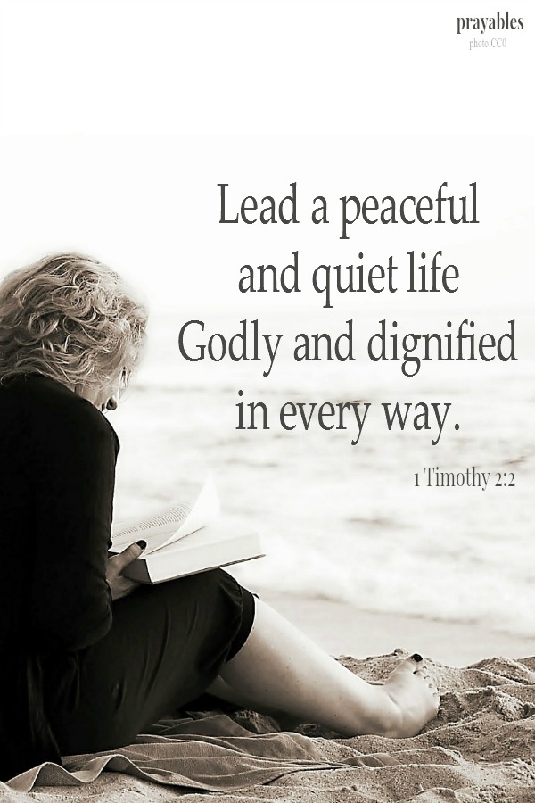 lead a peaceful and quiet life