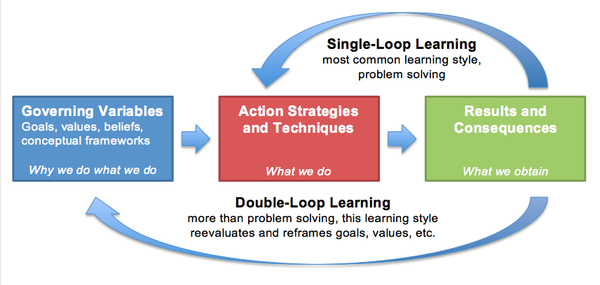 Double Loop Learning Model