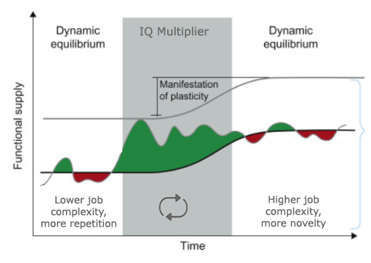 IQ Multiplier Effect