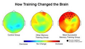 Brain activity from dual n-back training