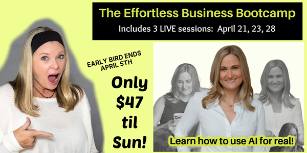Effortless Business Bootcamp only $47